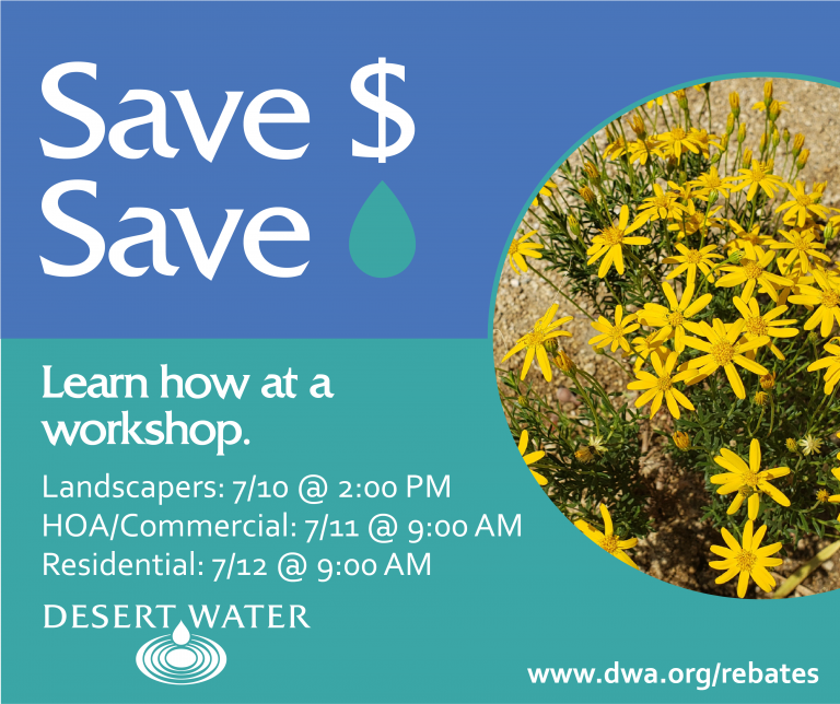 Rebate Workshops At Desert Water Agency The Desert Horticultural 